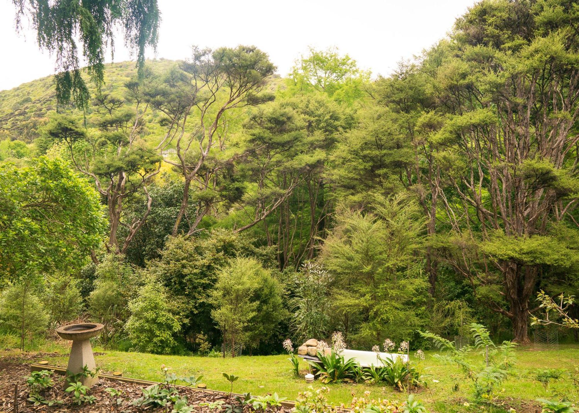 Birdsong Cottage Paraparaumu Ngoại thất bức ảnh